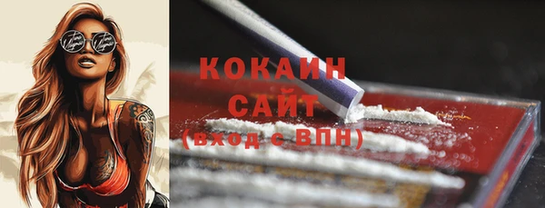 стафф Верхний Тагил