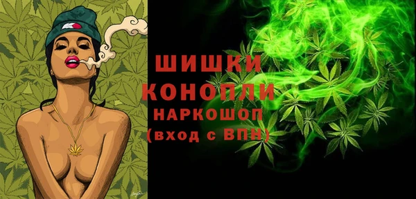 стафф Верхний Тагил