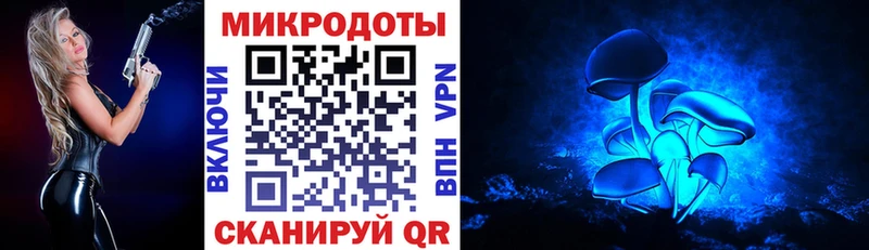 ссылка на мегу вход  Шагонар  Галлюциногенные грибы MAGIC MUSHROOMS 